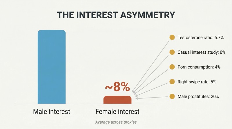 Two vertical bars comparing male and female romantic interest levels, with the female bar at roughly 8% the height of the male bar, surrounded by five converging data points.