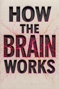 How the Brain Works