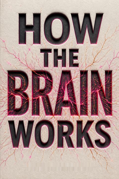 How the Brain Works by D.K. Publishing