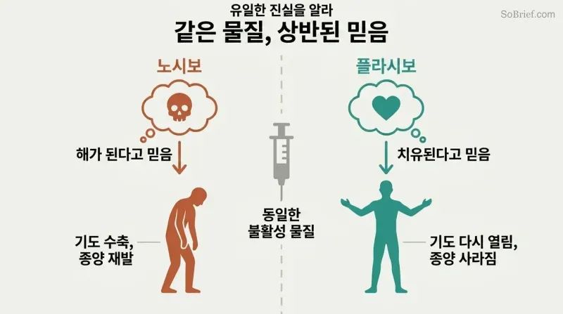 Split panel showing an identical substance at center diverging left toward sickness through nocebo belief and right toward healing through placebo belief.