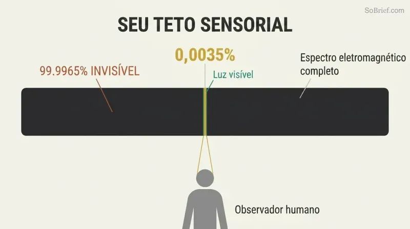 Proportion diagram showing a vast horizontal spectrum bar where a nearly invisible sliver represents the 0.0035% humans can see.