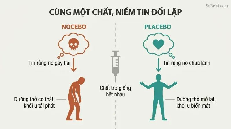 Split panel showing an identical substance at center diverging left toward sickness through nocebo belief and right toward healing through placebo belief.