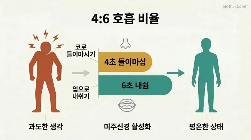 Two proportion bars comparing a shorter inhale to a longer exhale, flanked by a tense silhouette on the left transforming into a relaxed silhouette on the right.