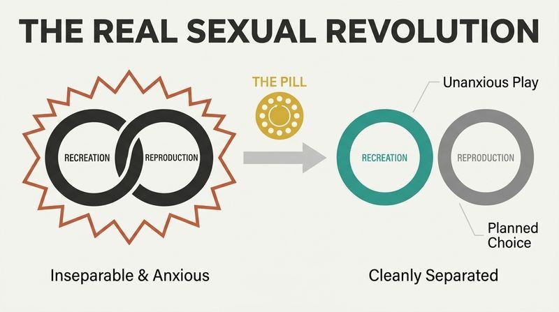 Before-and-after diagram showing how reliable contraception separated recreation from reproduction, shifting sex from high-anxiety to unanxious play.