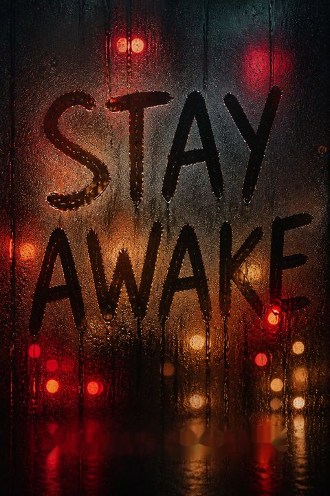 Stay Awake by Megan Goldin