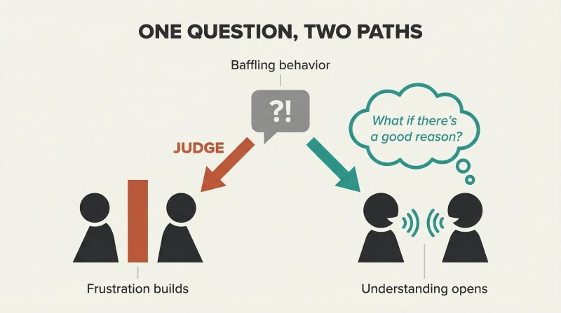 Fork diagram showing how the same baffling behavior leads to frustration through judgment or to understanding through the curiosity question "What if there's a good reason?"