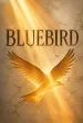 Bluebird