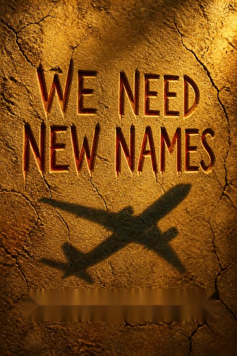 We Need New Names by NoViolet Bulawayo