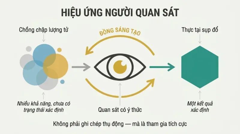 Horizontal transformation showing a probabilistic cloud passing through a central eye symbol to become a crystallized shape, with bidirectional arrows emphasizing mutual co-creation between observer and reality.