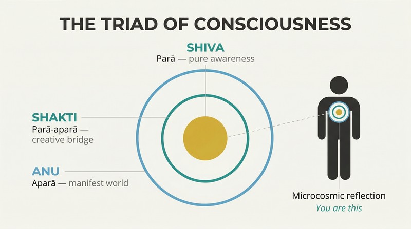 Three concentric circles representing levels of consciousness from pure awareness at center to manifest world at the edge, with a small human figure containing the same pattern within.