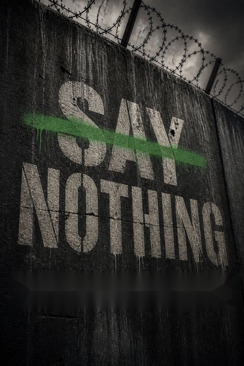 Say Nothing