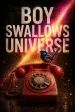 Boy Swallows Universe