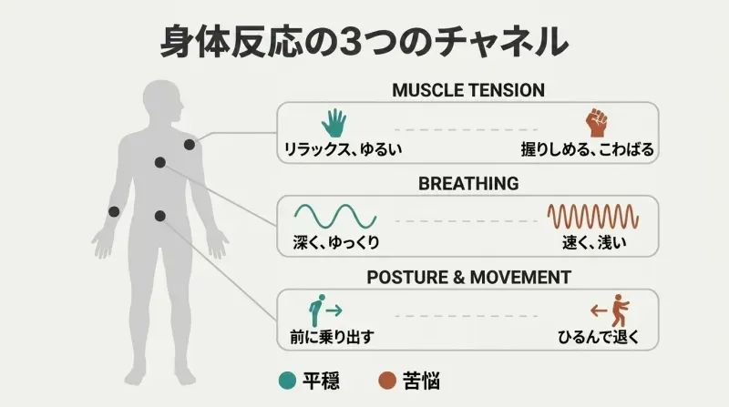Central human silhouette with three radiating channels — muscle tension, breathing, and posture — each showing ease signals versus distress signals.