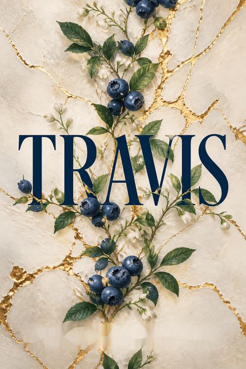 Travis by Mia Sheridan