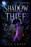 Shadow Thief