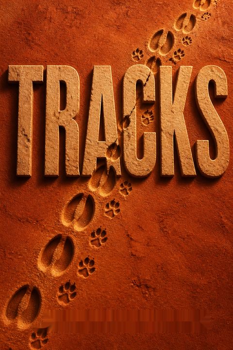 Tracks by Robyn Davidson