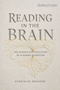 Reading in the Brain
