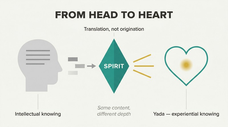 Left-to-right transformation showing rigid text blocks entering a translating prism labeled "Spirit" and emerging as warm light reaching into a heart shape.