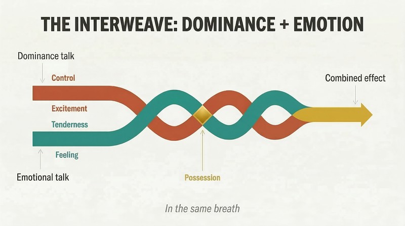 Two colored strands representing dominance and emotional talk braiding together into a single powerful combined thread flowing left to right.