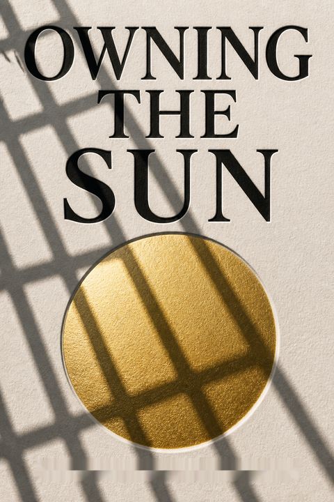 Owning the Sun by Alexander Zaitchik