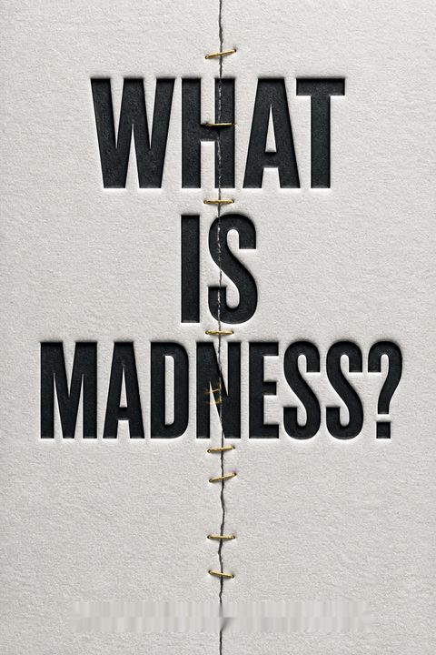 What Is Madness? by Darian Leader