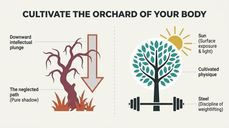 Split-panel diagram contrasting a neglected, weed-choked orchard representing physical decay with a cultivated orchard bolstered by sunlight and steel.