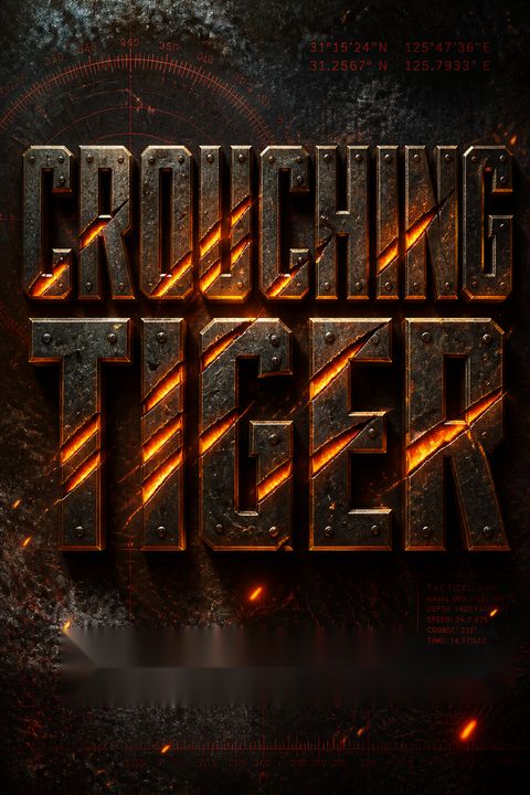 Crouching Tiger by Peter Navarro