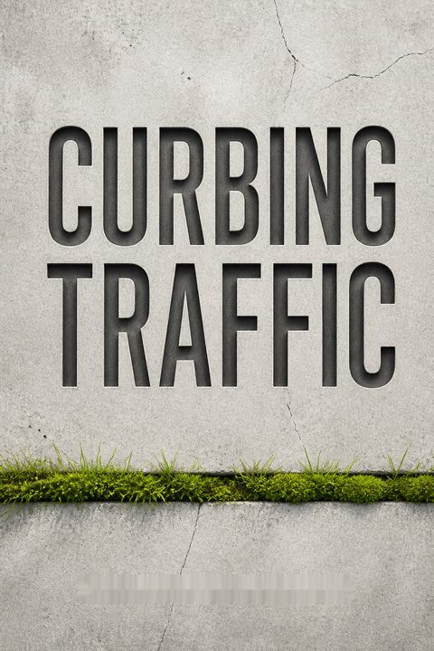 Curbing Traffic by Melissa Bruntlett