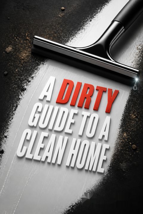 A Dirty Guide to a Clean Home by Melissa Dilkes Pateras