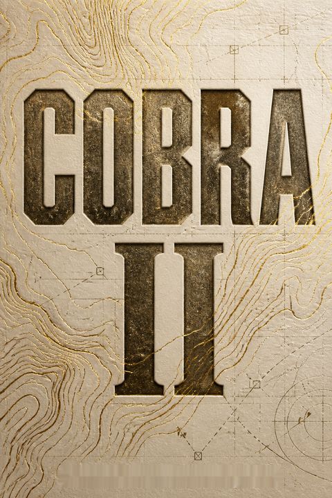 Cobra II by Michael R. Gordon