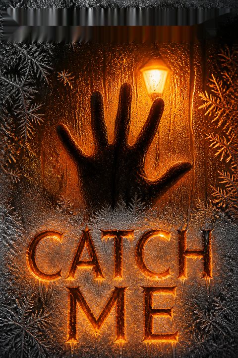 Catch Me by Lisa Gardner