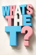 What's the T? The Guide to All Things Trans and/or Nonbinary