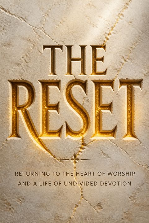 The Reset by Jeremy Riddle