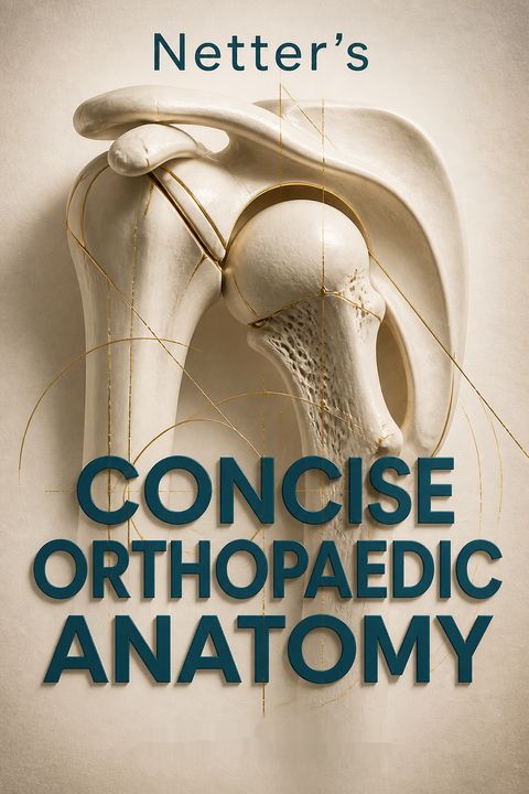 Netter's Concise Orthopaedic Anatomy by Jon C. Thompson