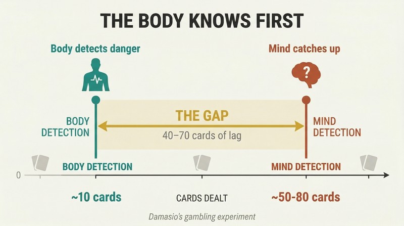 Timeline showing body detecting the correct answer after ten cards while the conscious mind needs fifty to eighty cards, revealing a dramatic awareness gap.