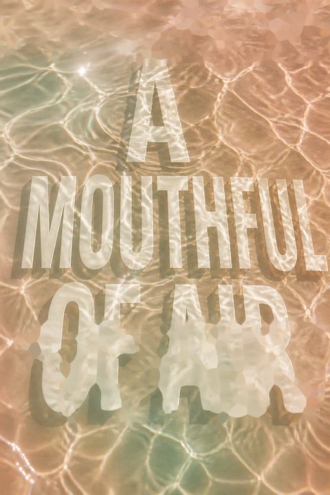 A Mouthful of Air by Amy Koppelman