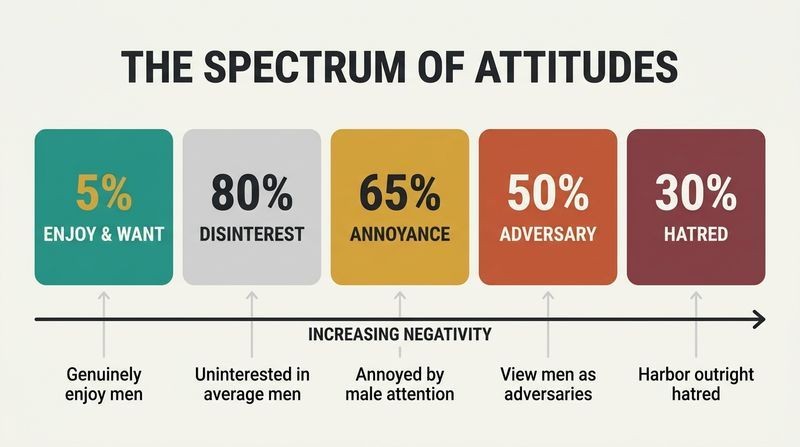 Horizontal spectrum diagram charting the five stages of women's collective attitudes toward men, ranging from positive enjoyment to extreme hatred with corresponding estimated percentages.