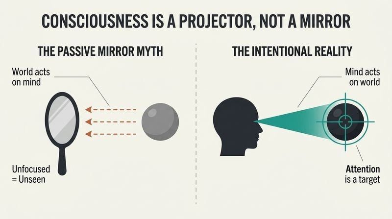 Split-panel diagram contrasting the passive mirror myth of consciousness with the active, intentional beam model of attention.