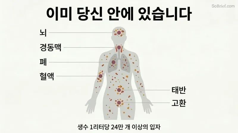 Human body silhouette containing scattered hazard particles with labeled arrows pointing to six contaminated organ sites including brain, arteries, blood, lungs, and more.