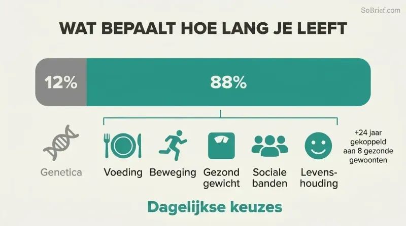 Proportional bar showing genetics as a narrow 12% sliver versus daily lifestyle choices as a dominant 88% segment, with icons for key lifestyle factors below.