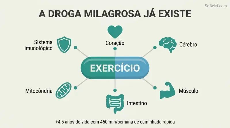 Hub-and-spoke diagram showing a pill-shaped center labeled Exercise radiating benefit lines to six organ system icons arranged around it.