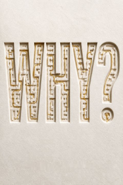 Why? by Mario Livio