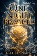 One Night Promised