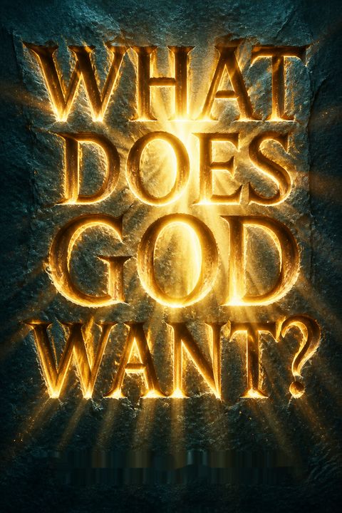 What Does God Want? by Michael S. Heiser