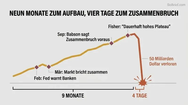 Stylized line chart showing a slow nine-month market rise with warning markers followed by a sudden vertical cliff drop over just four days.