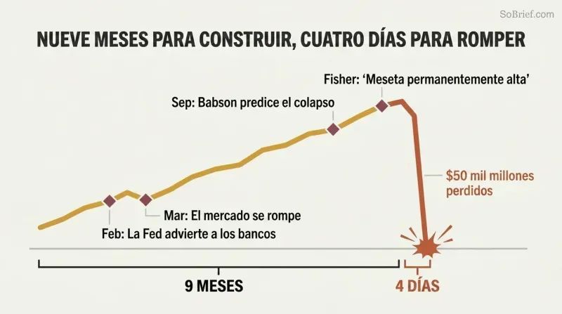Stylized line chart showing a slow nine-month market rise with warning markers followed by a sudden vertical cliff drop over just four days.