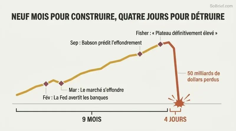 Stylized line chart showing a slow nine-month market rise with warning markers followed by a sudden vertical cliff drop over just four days.