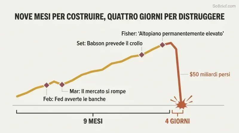 Stylized line chart showing a slow nine-month market rise with warning markers followed by a sudden vertical cliff drop over just four days.