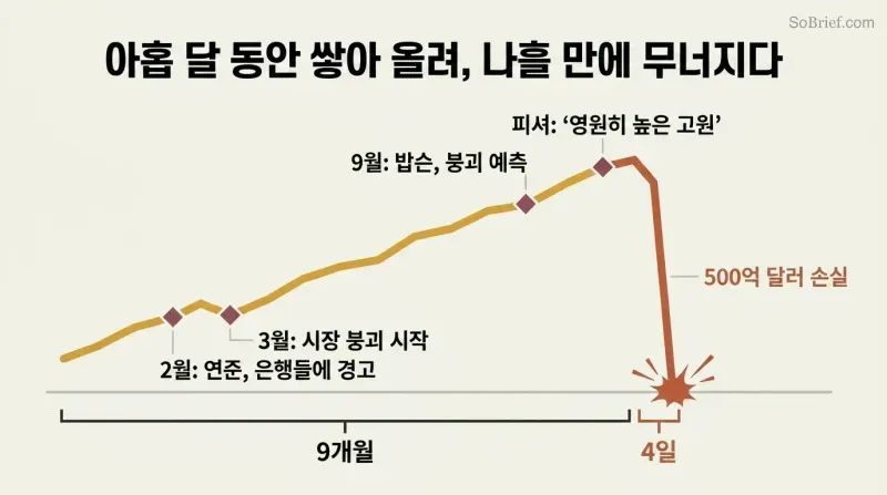Stylized line chart showing a slow nine-month market rise with warning markers followed by a sudden vertical cliff drop over just four days.