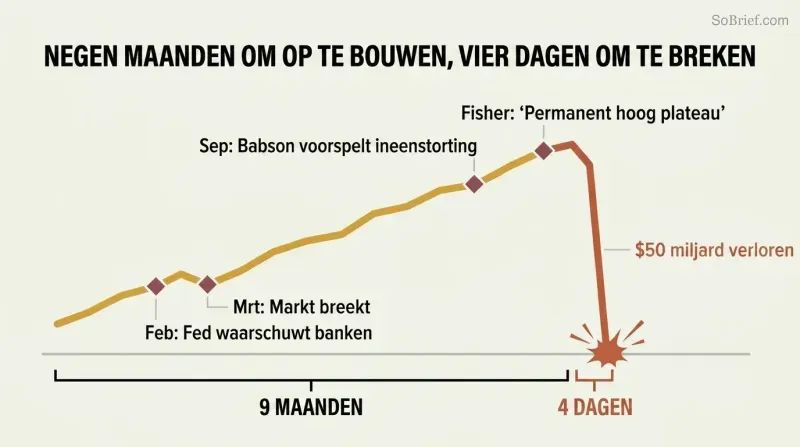 Stylized line chart showing a slow nine-month market rise with warning markers followed by a sudden vertical cliff drop over just four days.